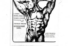 Тема (Theme)